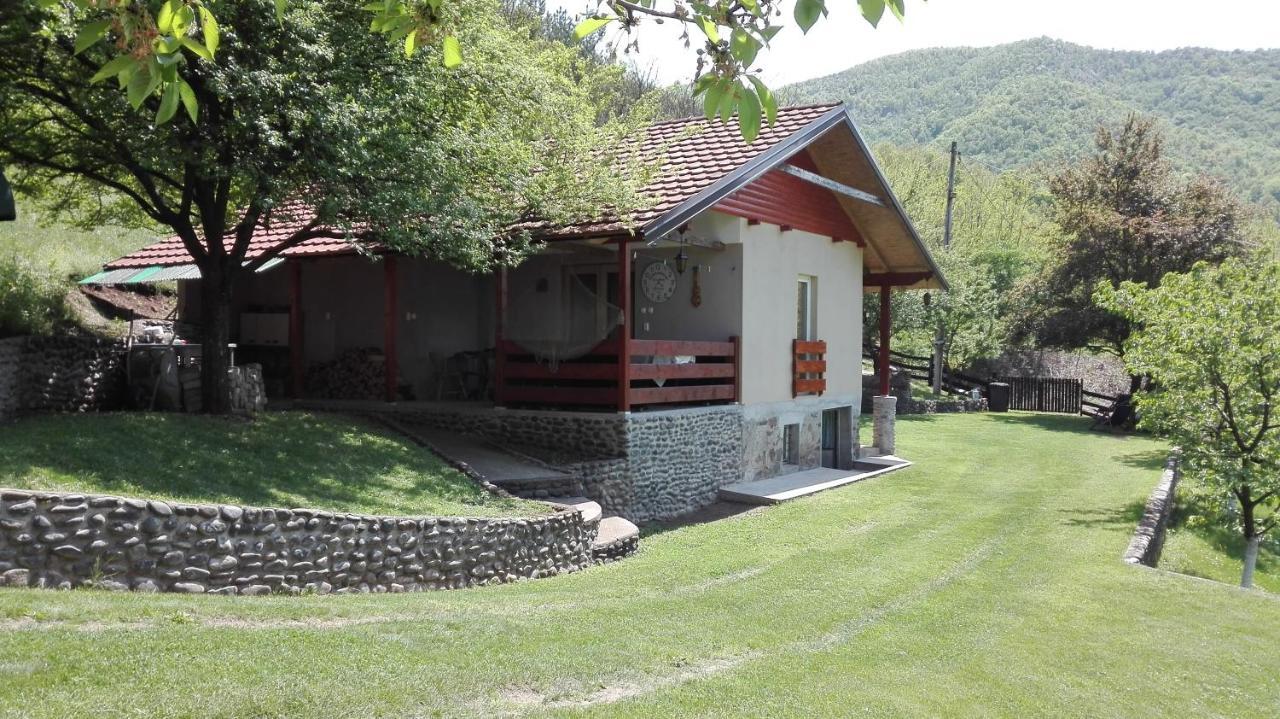 Vikend Kuca Maksimovic Mataruska Banja