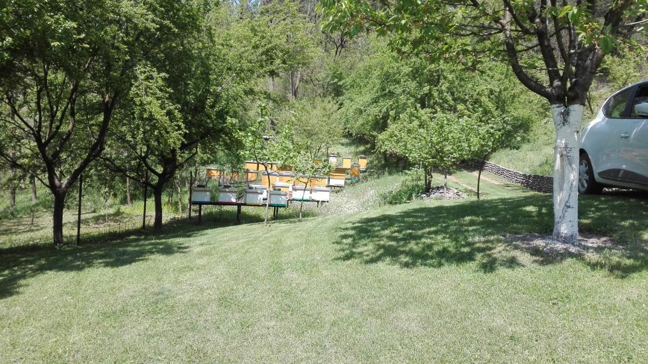 Holiday home Vikend Kuca Maksimovic Mataruska Banja