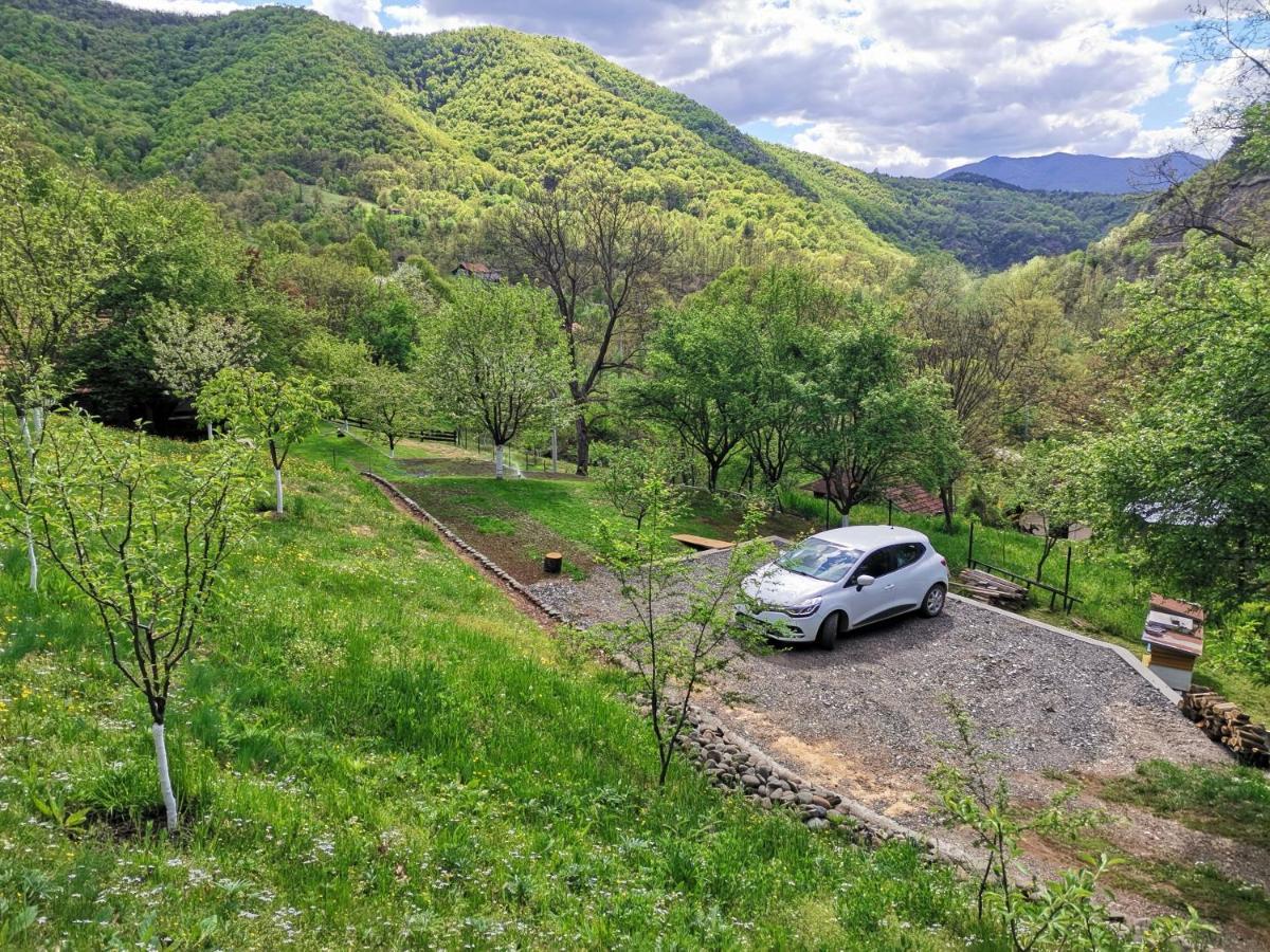 Vikend Kuca Maksimovic Holiday home *